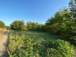 Eladó 2618 m²-estelek Kerekharaszt, Kartali utca: 20'000'000 Ft