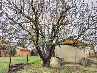 Eladó 24 m²-esüdülő Kerepes, Felsősor utca: 14'900'000 Ft