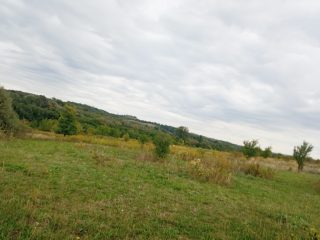 Eladó 744 m²-estelek Kerepes, Hegy u. mentén: 33'000'000 Ft