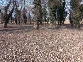 Eladó 556 m²-estelek Kerepes, Kerepes 4483 utca: 11'100'000 Ft