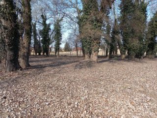 Eladó 556 m²-estelek Kerepes, Kerepes 4483 utca: 11'100'000 Ft