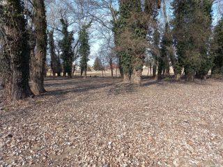 Eladó 556 m²-estelek Kerepes, Kerepes 4483 utca: 11'100'000 Ft