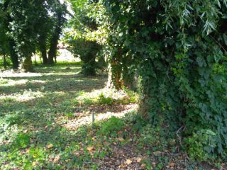 Eladó 556 m²-estelek Kerepes, Kerepes 4483 utca: 11'100'000 Ft