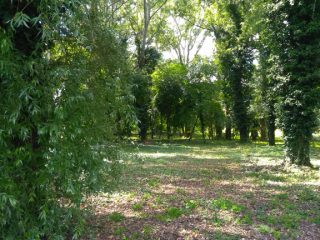 Eladó 556 m²-estelek Kerepes, Kerepes 4483 utca: 11'100'000 Ft