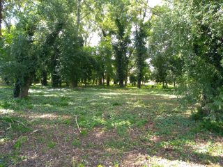 Eladó 556 m²-estelek Kerepes, Kerepes 4483 utca: 11'100'000 Ft