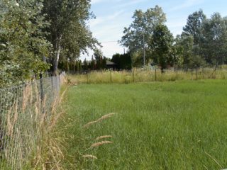 Eladó 360 m²-estelek Kiskunlacháza, Bagoly utca: 17'000'000 Ft