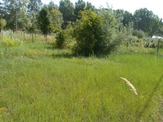 Eladó 360 m²-estelek Kiskunlacháza, Bagoly utca: 17'000'000 Ft