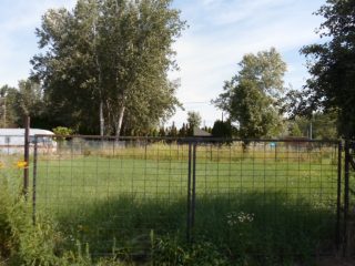 Eladó 720 m²-estelek Kiskunlacháza, Bagoly utca: 34'000'000 Ft