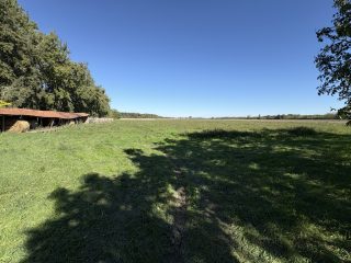 Eladó 45000 m²-esmezőgazdasági ingatlan Kiskunlacháza, Dunai út: 63'000'000 Ft