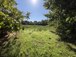 Eladó 45000 m²-esmezőgazdasági ingatlan Kiskunlacháza, Dunai út: 63'000'000 Ft