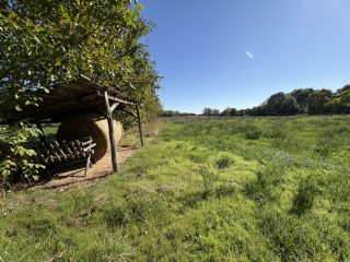 Eladó 45000 m²-esmezőgazdasági ingatlan Kiskunlacháza, Dunai út: 63'000'000 Ft