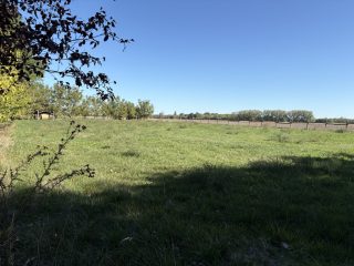 Eladó 45000 m²-esmezőgazdasági ingatlan Kiskunlacháza, Dunai út: 63'000'000 Ft