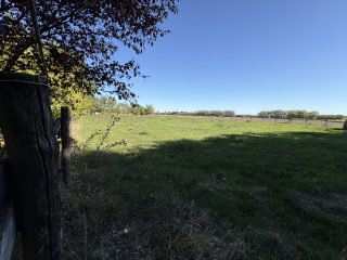 Eladó 45000 m²-esmezőgazdasági ingatlan Kiskunlacháza, Dunai út: 63'000'000 Ft