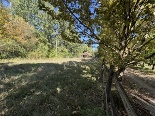 Eladó 45000 m²-esmezőgazdasági ingatlan Kiskunlacháza, Dunai út: 63'000'000 Ft