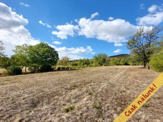 Eladó 1800 m²-esmezőgazdasági ingatlan Kismaros, Óhegyi út: 7'900'000 Ft