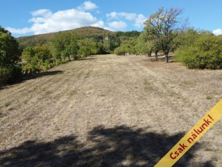 Eladó 1800 m²-esmezőgazdasági ingatlan Kismaros, Óhegyi út út: 7'900'000 Ft