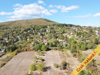 Eladó 1800 m²-esmezőgazdasági ingatlan Kismaros, Óhegyi út út: 7'900'000 Ft