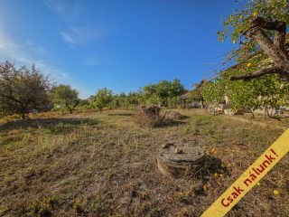 Eladó 76 m²-escsaládi ház Kisnémedi, Kossuth utca: 41'000'000 Ft