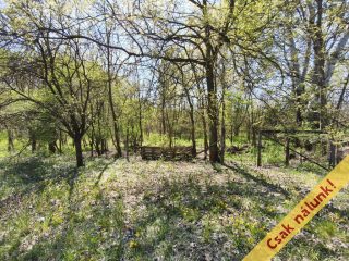 Eladó 50 m²-escsaládi ház Kóka, Petőfi utca környéke: 51'900'000 Ft