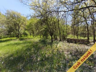 Eladó 50 m²-escsaládi ház Kóka, Petőfi utca környéke: 51'900'000 Ft