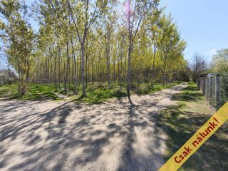 Eladó 50 m²-escsaládi ház Kóka, Petőfi utca környéke: 51'900'000 Ft