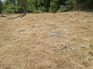 Eladó 80 m²-escsaládi ház Koppányszántó, Csendes utca: 18'900'000 Ft