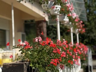 Eladó 110 m²-escsaládi ház Kunszentmiklós, Központhoz közeli utca: 89'000'000 Ft