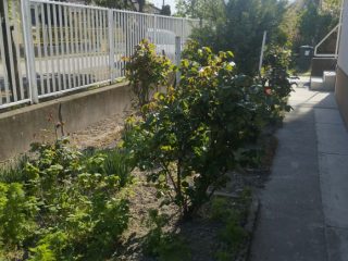 Eladó 110 m²-escsaládi ház Kunszentmiklós, Központhoz közeli utca: 89'000'000 Ft