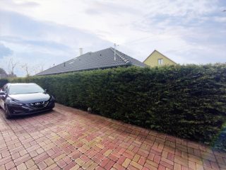 Eladó 38 m²-estársasházi lakás Maglód, Krisztinatelep: 49'900'000 Ft