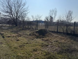 Eladó 900 m²-estelephely Majosháza, 51-es uthoz utca: 90'000'000 Ft