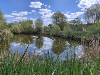 Eladó 220 m²-escsaládi ház Mende, Mende út: 115'000'000 Ft