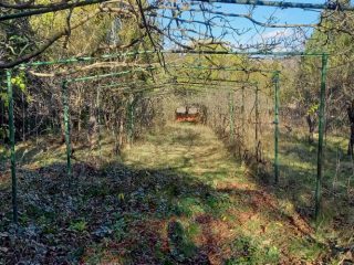 Eladó 74 m²-escsaládi ház Mogyoród, Fácános utca: 84'900'000 Ft