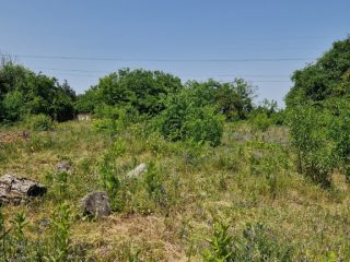 Eladó 1439 m²-estelek Mogyoród, Pacsirta utca: 18'000'000 Ft