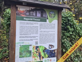 Eladó 65 m²-escsaládi ház Mogyoród, Pincesor utca: 24'000'000 Ft