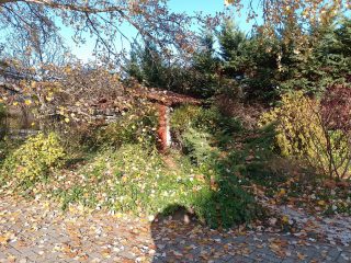 Eladó 296 m²-escsaládi ház Mogyoród, Szentjakab park: 285'000'000 Ft