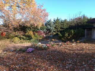 Eladó 296 m²-escsaládi ház Mogyoród, Szentjakab park: 285'000'000 Ft