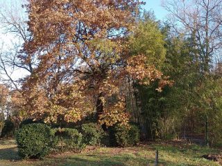 Eladó 296 m²-escsaládi ház Mogyoród, Szentjakab park: 285'000'000 Ft