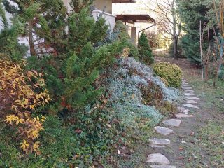 Eladó 296 m²-escsaládi ház Mogyoród, Szentjakab park: 285'000'000 Ft