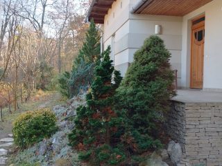 Eladó 296 m²-escsaládi ház Mogyoród, Szentjakab park: 285'000'000 Ft