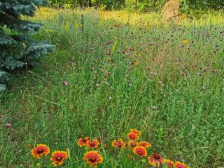 Eladó 296 m²-escsaládi ház Mogyoród, Szentjakab park: 285'000'000 Ft