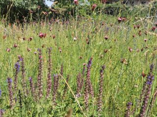 Eladó 296 m²-escsaládi ház Mogyoród, Szentjakab park: 285'000'000 Ft