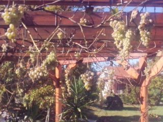 Eladó 296 m²-escsaládi ház Mogyoród, Szentjakab park: 285'000'000 Ft