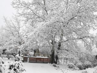 Eladó 296 m²-escsaládi ház Mogyoród, Szentjakab park: 285'000'000 Ft