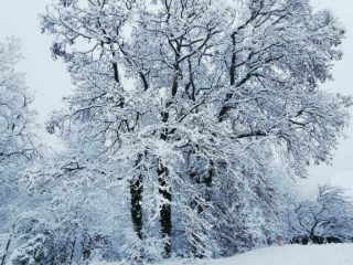 Eladó 296 m²-escsaládi ház Mogyoród, Szentjakab park: 285'000'000 Ft