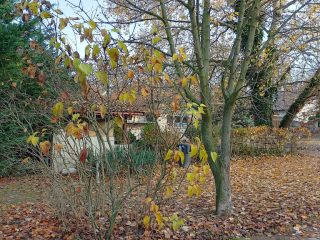 Eladó 296 m²-escsaládi ház Mogyoród, Szentjakab park: 285'000'000 Ft