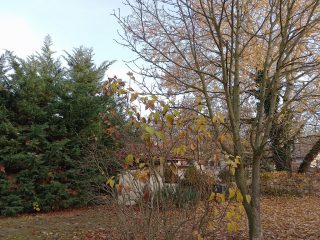 Eladó 296 m²-escsaládi ház Mogyoród, Szentjakab park: 285'000'000 Ft