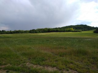 Eladó 5988 m²-esmezőgazdasági ingatlan Mogyoród, külterület: 43'000'000 Ft