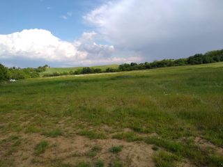 Eladó 5988 m²-esmezőgazdasági ingatlan Mogyoród, külterület: 43'000'000 Ft