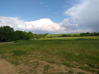 Eladó 5988 m²-esmezőgazdasági ingatlan Mogyoród, külterület: 43'000'000 Ft