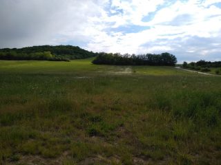 Eladó 5988 m²-esmezőgazdasági ingatlan Mogyoród, külterület: 43'000'000 Ft